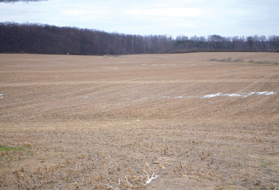 LAND AUCTION - 80+/- ACRES OFFERED IN 4 TRACTS IN NORTHEAST ALLEN COUNTY, INDIANA